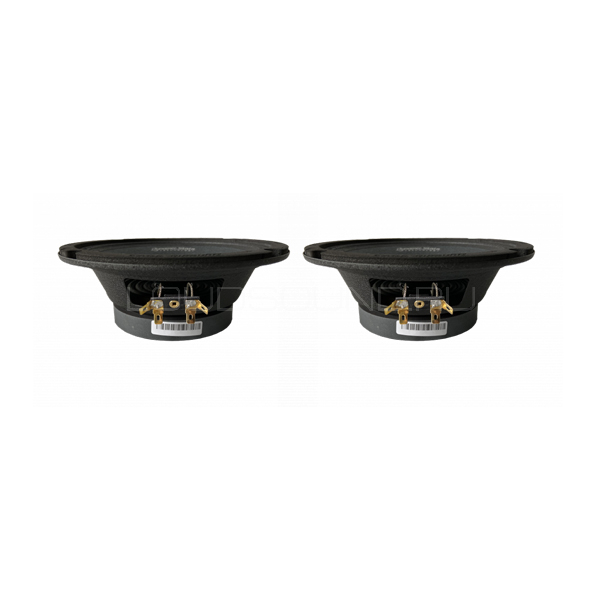 Dynamic State Cm 16 1v4n Custom Series Midbas 6 5 Dynamic State Cm 16 1v4n Custom Series Loudsound