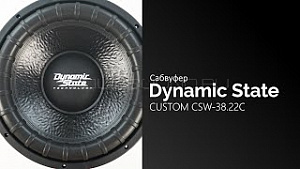 Dynamic State Custom CSW-38.22C 15" D2
