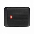 JBL BASSPRO NANO