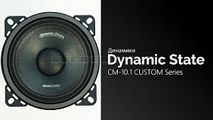 Dynamic State CM-10.1 Custom Series