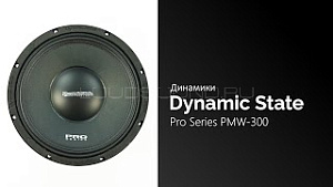 Dynamic State Pro Series PMW-300 4Ом