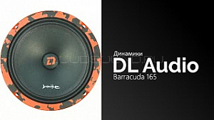 DL Audio Barracuda 165