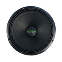Apocalypse Arnold AP-M81AC 4Ом
