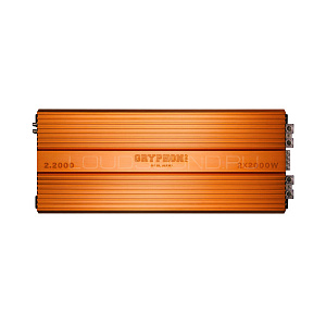 DL Audio Gryphon Pro 2.2000