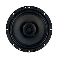 AMP Group Promo FR65 ver.2 3Ом