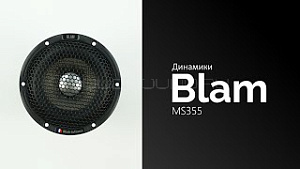 Blam MS355