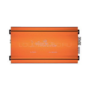 DL Audio Barracuda 1.1800