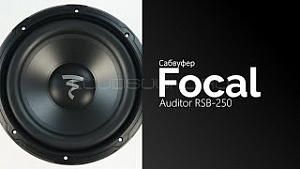 Focal Auditor RSB-250 10" D4