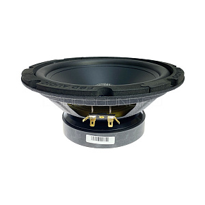 FSD Audio Master WF 8