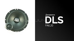 DLS PA6.20