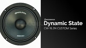 Dynamic State Custom Series CM-16.3N 4Ом