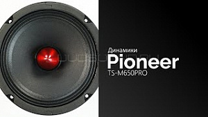 Pioneer TS-M650PRO
