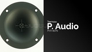 P. Audio PHT-407N
