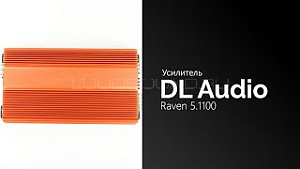 DL Audio Raven 5.1100