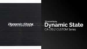 Dynamic State CA-210.2 Custom Series