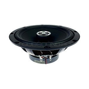 Focal Auditor RCX-165