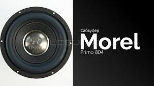 Morel Primo 804 8" S4