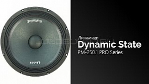 Dynamic State Pro Series PM-250.1 4Ом