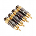 Kicx RCA 05C