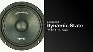 Dynamic State Pro Series PM-165.1 4Ом