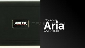 Aria WSX-200.4D