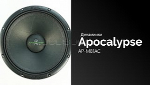 Apocalypse Arnold AP-M81AC 4Ом