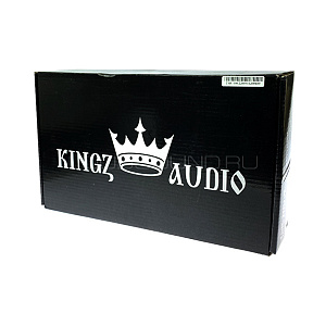 Kingz Audio TSR-100.2