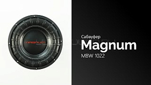 Magnum MBW 1022 10" D2