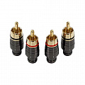 AurA RCA-P403