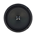 Avatar MBR-61LE 4Ом
