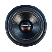 Pioneer TS-W3820Pro 15" D2