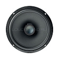 Focal IC VW165
