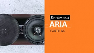 Aria FORTE 65