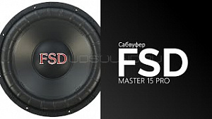 FSD Audio Master15 Pro 15" D2