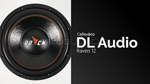 DL Audio Raven 12" D2