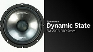 Dynamic State PM-200.3 Pro Series