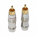 Daxx T95 RCA White