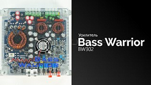 Bass Warrior BW302