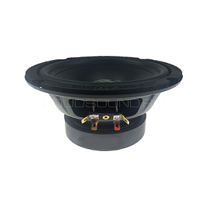 FSD Audio Master WF 6